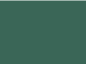 503 - Heather Sport Dark Green